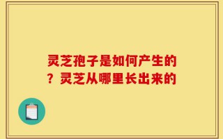 灵芝孢子是如何产生的？灵芝从哪里长出来的