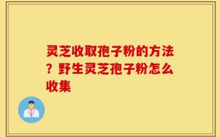 灵芝收取孢子粉的方法？野生灵芝孢子粉怎么收集