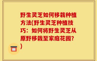 野生灵芝如何移栽种植方法(野生灵芝种植技巧：如何将野生灵芝从原野移栽至家庭花园？)