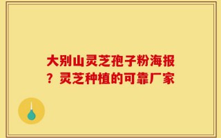 大别山灵芝孢子粉海报？灵芝种植的可靠厂家
