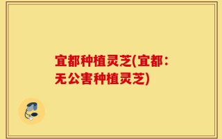 宜都种植灵芝(宜都：无公害种植灵芝)