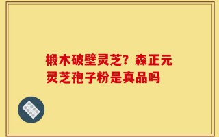 椴木破壁灵芝？森正元灵芝孢子粉是真品吗