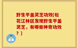 野生平盖灵芝功效(松花江林区发现野生平盖灵芝，有哪些神奇功效？)