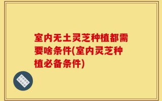 室内无土灵芝种植都需要啥条件(室内灵芝种植必备条件)