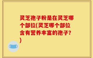 灵芝孢子粉是在灵芝哪个部位(灵芝哪个部位含有营养丰富的孢子？)