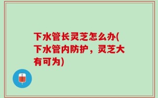 下水管长灵芝怎么办(下水管内防护，灵芝大有可为)