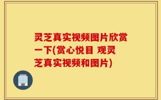 灵芝真实视频图片欣赏一下(赏心悦目 观灵芝真实视频和图片)
