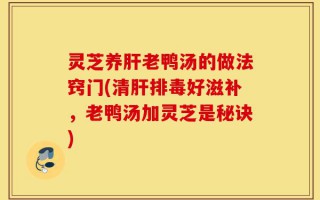 灵芝养肝老鸭汤的做法窍门(清肝排毒好滋补，老鸭汤加灵芝是秘诀)