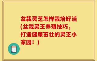 盆栽灵芝怎样栽培好活(盆栽灵芝养殖技巧，打造健康茁壮的灵芝小家园！)