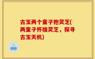 古玉两个童子抱灵芝(两童子怀揣灵芝，探寻古玉天机)