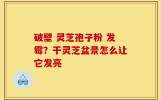破壁 灵芝孢子粉 发霉？干灵芝盆景怎么让它发亮