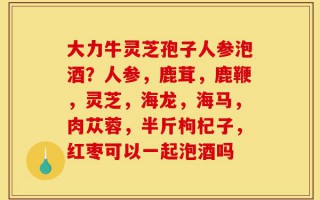 大力牛灵芝孢子人参泡酒？人参，鹿茸，鹿鞭，灵芝，海龙，海马，肉苁蓉，半斤枸杞子，红枣可以一起泡酒吗