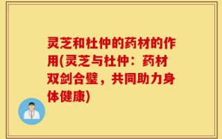 灵芝和杜仲的药材的作用(灵芝与杜仲：药材双剑合璧，共同助力身体健康)