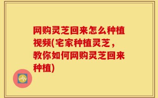 网购灵芝回来怎么种植视频(宅家种植灵芝，教你如何网购灵芝回来种植)