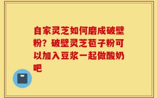 自家灵芝如何磨成破壁粉？破壁灵芝苞子粉可以加入豆浆一起做酸奶吧