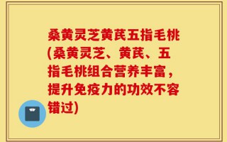 桑黄灵芝黄芪五指毛桃(桑黄灵芝、黄芪、五指毛桃组合营养丰富，提升免疫力的功效不容错过)