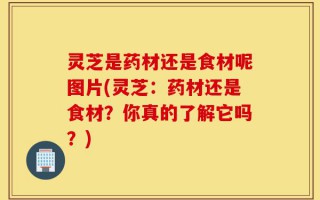 灵芝是药材还是食材呢图片(灵芝：药材还是食材？你真的了解它吗？)