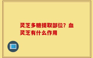 灵芝多糖提取部位？血灵芝有什么作用