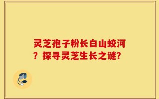灵芝孢子粉长白山蛟河？探寻灵芝生长之谜？