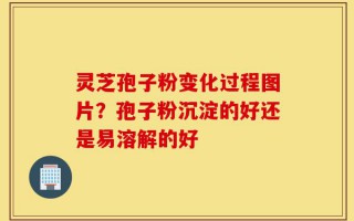 灵芝孢子粉变化过程图片？孢子粉沉淀的好还是易溶解的好