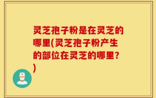 灵芝孢子粉是在灵芝的哪里(灵芝孢子粉产生的部位在灵芝的哪里？)