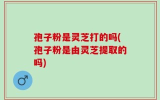 孢子粉是灵芝打的吗(孢子粉是由灵芝提取的吗)