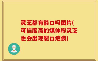灵芝都有豁口吗图片(可信度高的媒体称灵芝也会出现裂口疤痕)