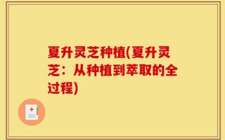 夏升灵芝种植(夏升灵芝：从种植到萃取的全过程)