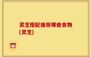 灵芝搭配推荐哪些食物(灵芝)