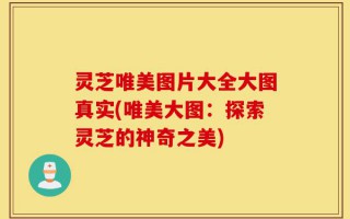 灵芝唯美图片大全大图真实(唯美大图：探索灵芝的神奇之美)