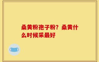 桑黄粉孢子粉？桑黄什么时候采最好