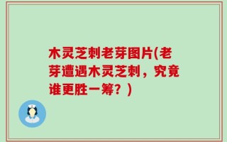 木灵芝刺老芽图片(老芽遭遇木灵芝刺，究竟谁更胜一筹？)