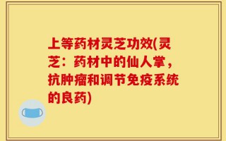 上等药材灵芝功效(灵芝：药材中的仙人掌，抗肿瘤和调节免疫系统的良药)
