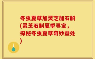 冬虫夏草加灵芝加石斛(灵芝石斛夏季寻宝，探秘冬虫夏草奇妙益处)