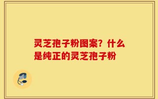 灵芝孢子粉图案？什么是纯正的灵芝孢子粉