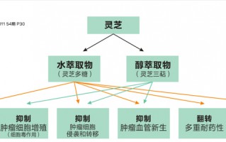 灵芝孢子粉真的抗癌吗？肝癌吃灵芝孢子粉有用吗？
