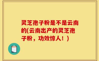 灵芝孢子粉是不是云南的(云南出产的灵芝孢子粉，功效惊人！)