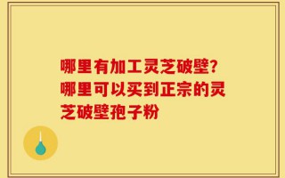 哪里有加工灵芝破壁？哪里可以买到正宗的灵芝破壁孢子粉
