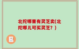 北陀哪里有灵芝卖(北陀哪儿可买灵芝？)