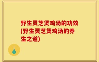 野生灵芝煲鸡汤的功效(野生灵芝煲鸡汤的养生之道)