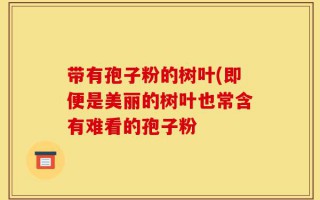 带有孢子粉的树叶(即便是美丽的树叶也常含有难看的孢子粉