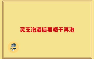 灵芝泡酒后要晒干再泡