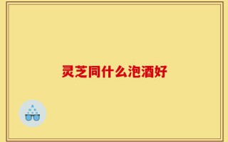 灵芝同什么泡酒好