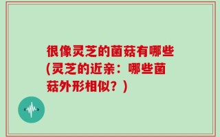 很像灵芝的菌菇有哪些(灵芝的近亲：哪些菌菇外形相似？)