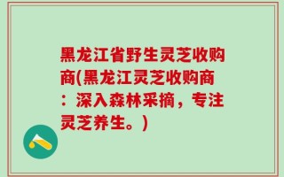 黑龙江省野生灵芝收购商(黑龙江灵芝收购商：深入森林采摘，专注灵芝养生。)