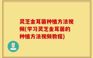灵芝金耳菌种植方法视频(学习灵芝金耳菌的种植方法视频教程)