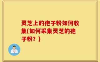 灵芝上的孢子粉如何收集(如何采集灵芝的孢子粉？)