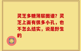 灵芝多糖薄层图谱？灵芝上面有很多小孔，也不怎么结实，说是野生的