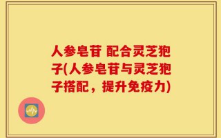 人参皂苷 配合灵芝狍子(人参皂苷与灵芝狍子搭配，提升免疫力)