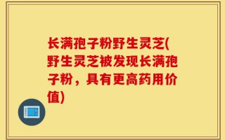 长满孢子粉野生灵芝(野生灵芝被发现长满孢子粉，具有更高药用价值)